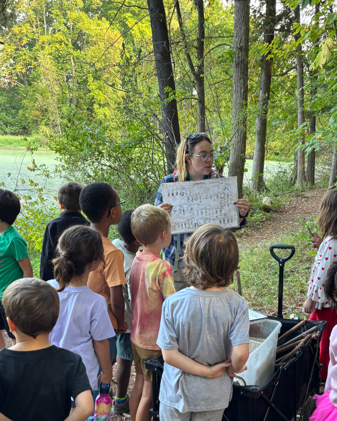 Post Image: Special Program Highlight: