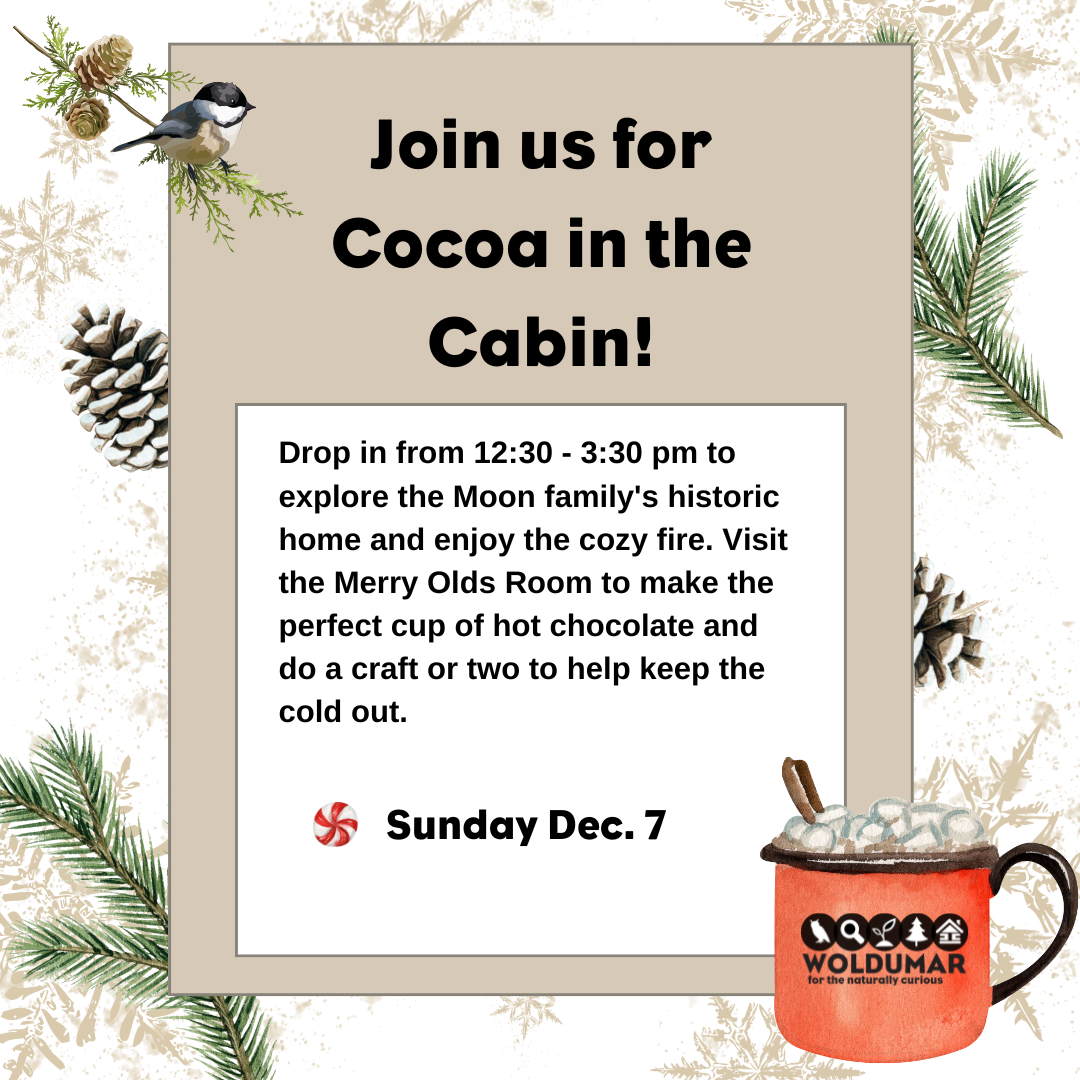 Cocoa & the Cabin